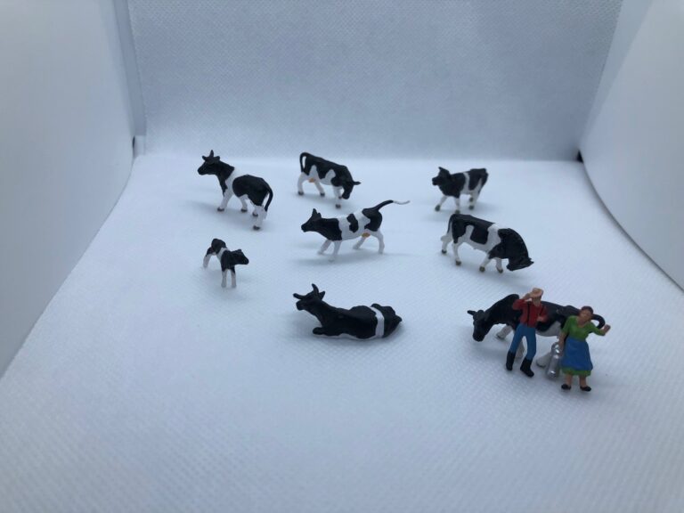 h0 fans internetshoppingguide 768x576