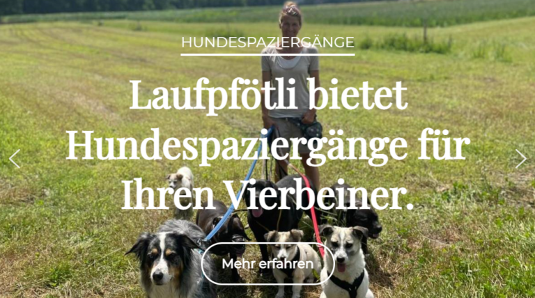 Screenshot 2025 01 15 132636 768x428