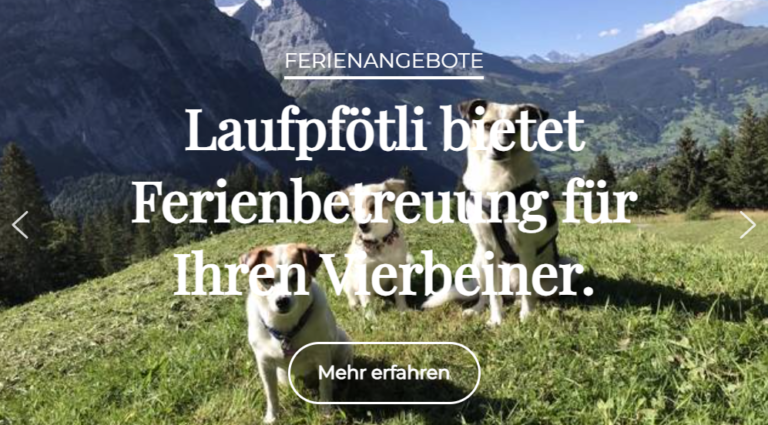 Screenshot 2025 01 15 132925 768x425