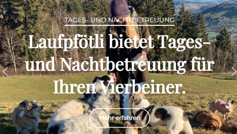 Screenshot 2025 01 15 153545 768x436